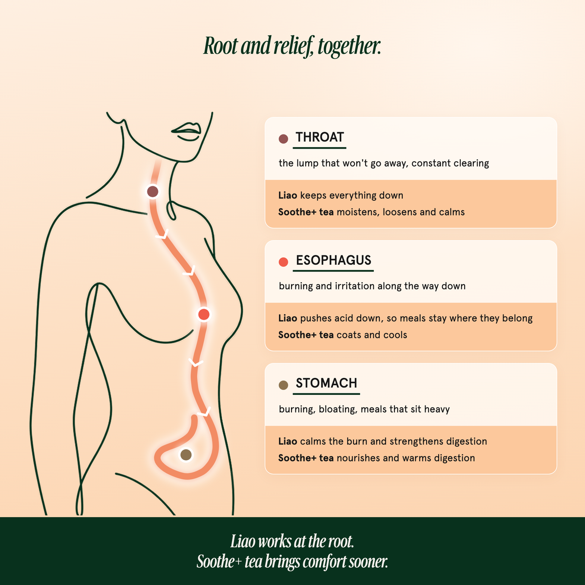 Root and relief, together: Liáo works at the root, Soothe+ tea brings comfort sooner